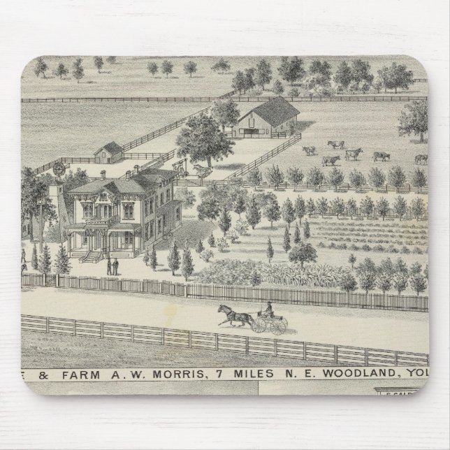 Woodland residences, farms mouse mat (Front)