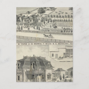 Woodland residences, farms postcard