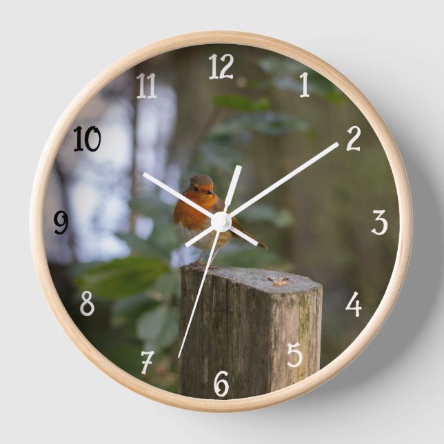 Woodland Robin Wall Clock (Front)