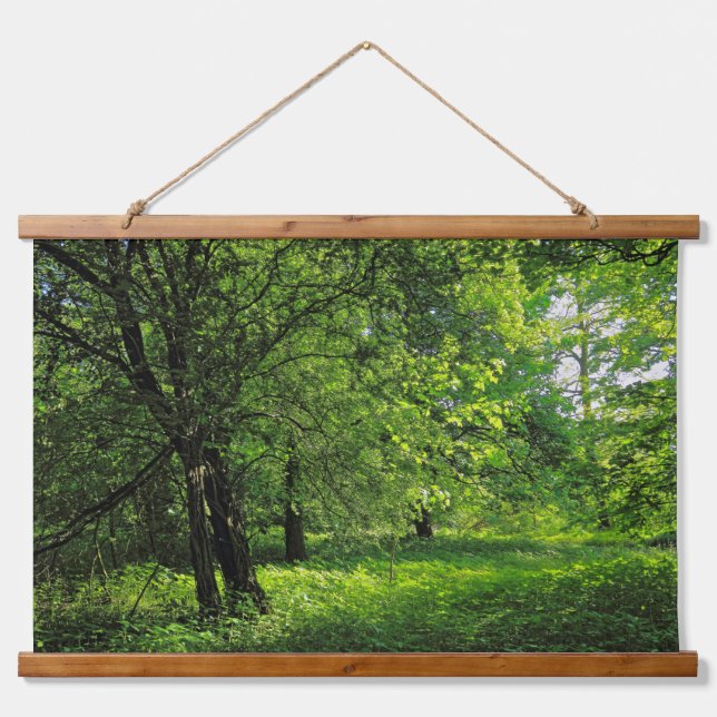 Woodland Scene. Blackweir Woods, Cardiff Hanging Tapestry (Front)