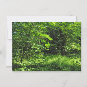 Woodland Scene Card