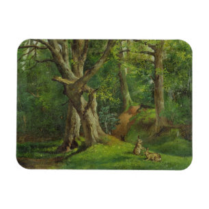 Woodland Scene with Rabbits, 1862 (oil on canvas) Magnet