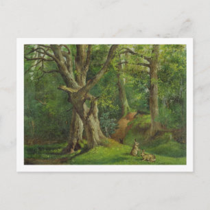 Woodland Scene with Rabbits, 1862 (oil on canvas) Postcard