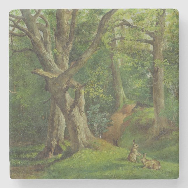 Woodland Scene with Rabbits, 1862 (oil on canvas) Stone Coaster (Front)