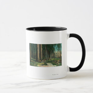 Woodland SceneEugene, OR Mug