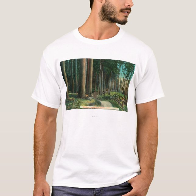 Woodland SceneEugene, OR T-Shirt (Front)