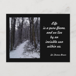 Woodland Snow Scene Postcard