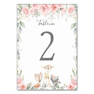 Woodland Soft Blush Floral Baby Shower Birthday Table Number