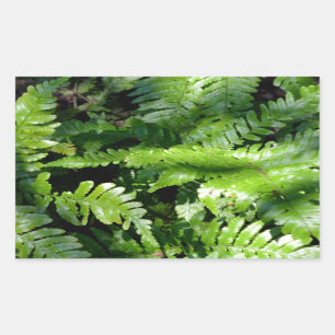 Woodland Spring Green Ferns Rectangular Sticker