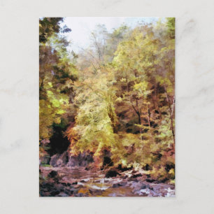 WOODLAND STREAM POSTCARD