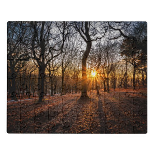 Woodland Sunset Jigsaw Puzzle