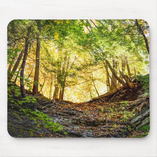 Woodland Sunset Nature Mouse Mat (Front)