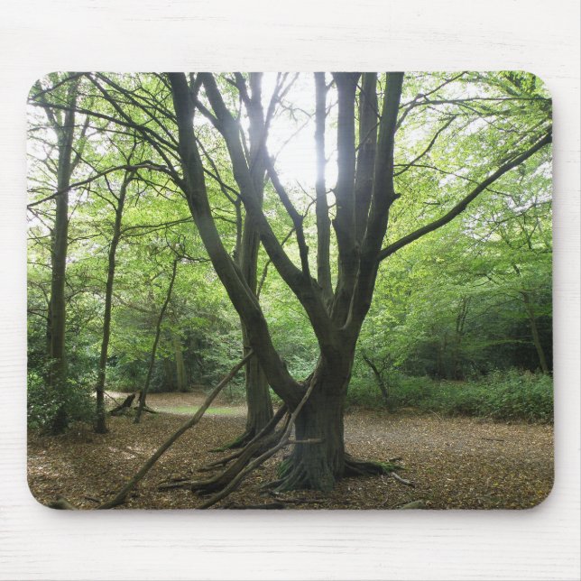 Woodland Sunshine Mousepad (Front)
