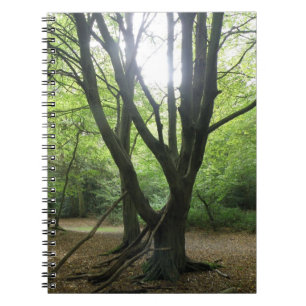 Woodland Sunshine Notebook