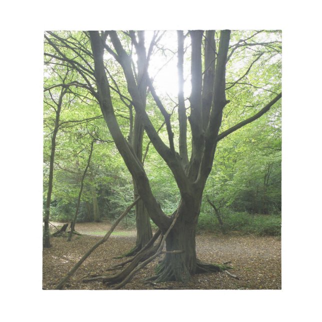 Woodland Sunshine Notepad (Front)