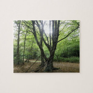 Woodland Sunshine Puzzle