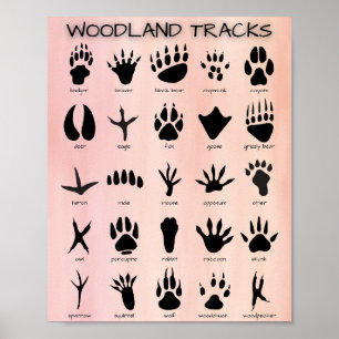 Woodland Tracks Poster