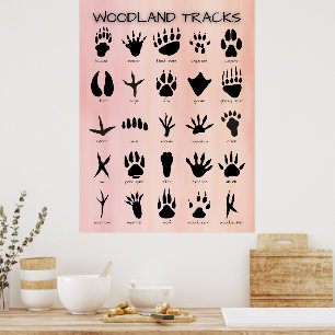 Woodland Tracks Poster