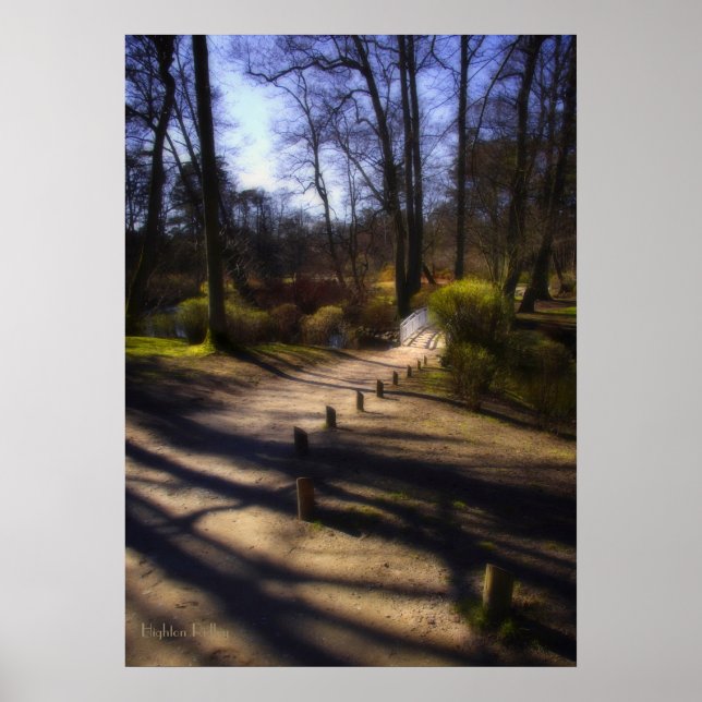 Woodland Trail And Bridge poster print (Front)