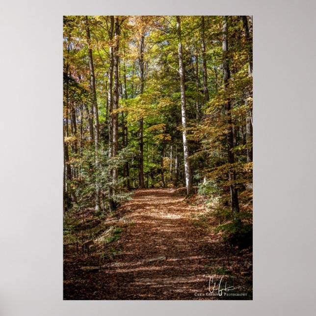 Woodland Trail Poster (Front)