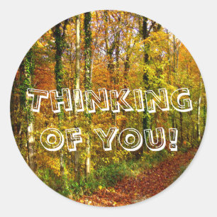 WOODLAND WALK ~ Envelope Sealers/Stickers Classic Round Sticker