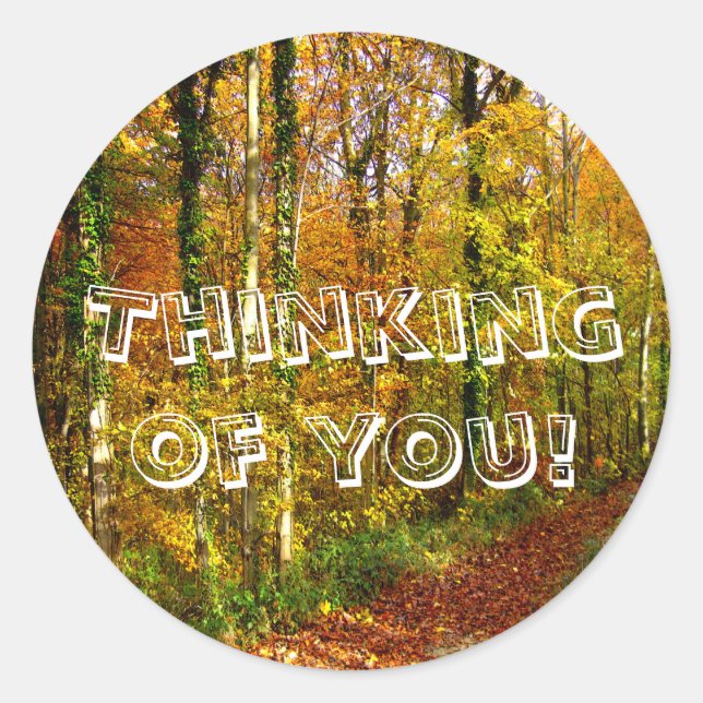 WOODLAND WALK ~ Envelope Sealers/Stickers Classic Round Sticker (Front)