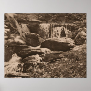 Woodland Waterfall In Sepia Brown Nature Poster