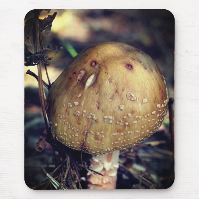 Woodland Wild Mushroom Nature  Mouse Mat (Front)