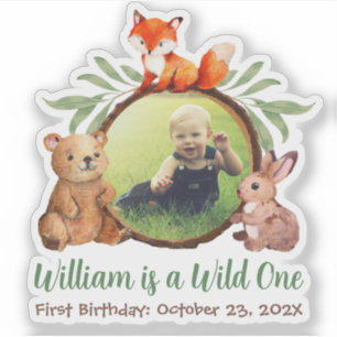 Woodland Wild One Photo Cute Animals 1st Birthday