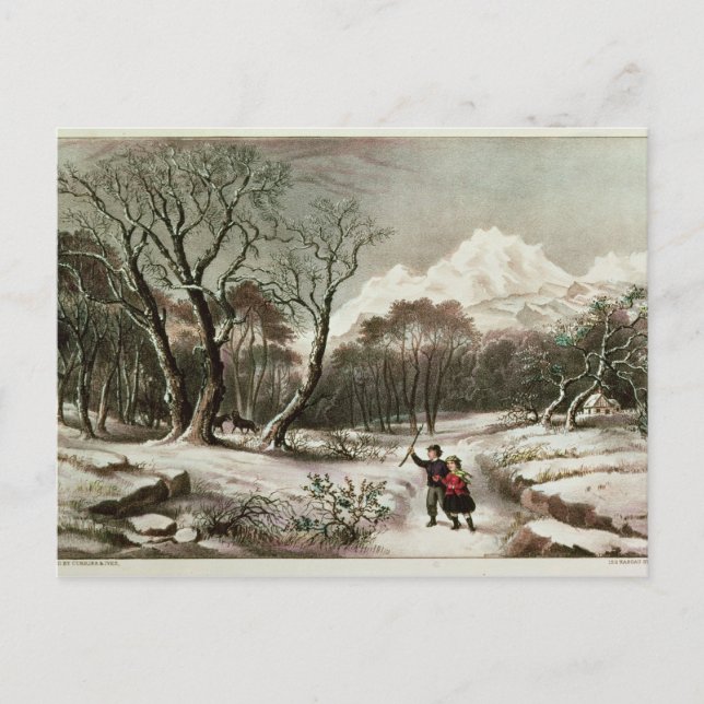 Woodlands in Winter Postcard (Front)