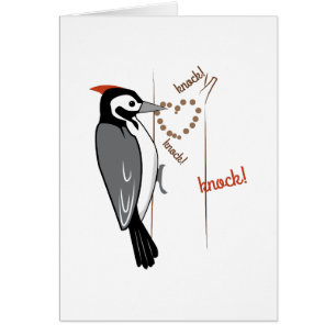 Woodpecker