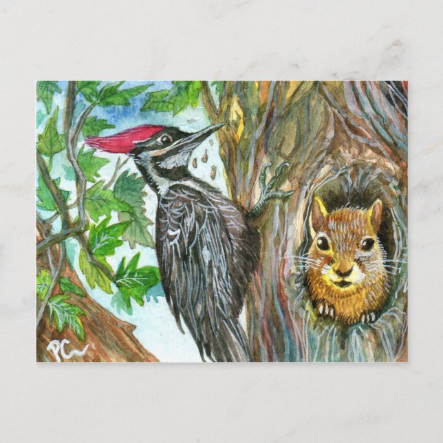 Woodpecker And Squirrel Postcard (Front)