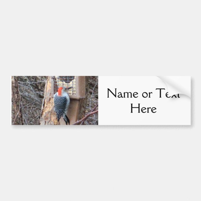 Woodpecker at Bird Feeder Bumper Sticker (Front)