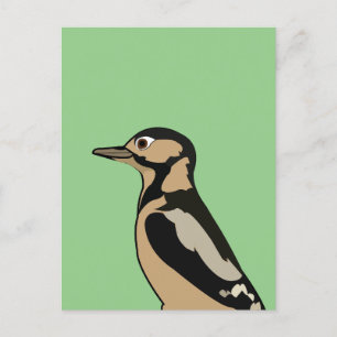 Woodpecker Bird Nature Art Postcard