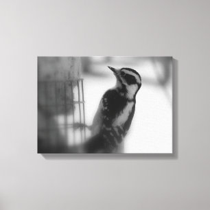 Woodpecker Canvas Print