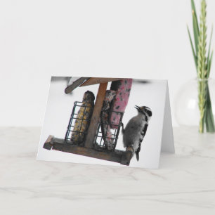 Woodpecker Card