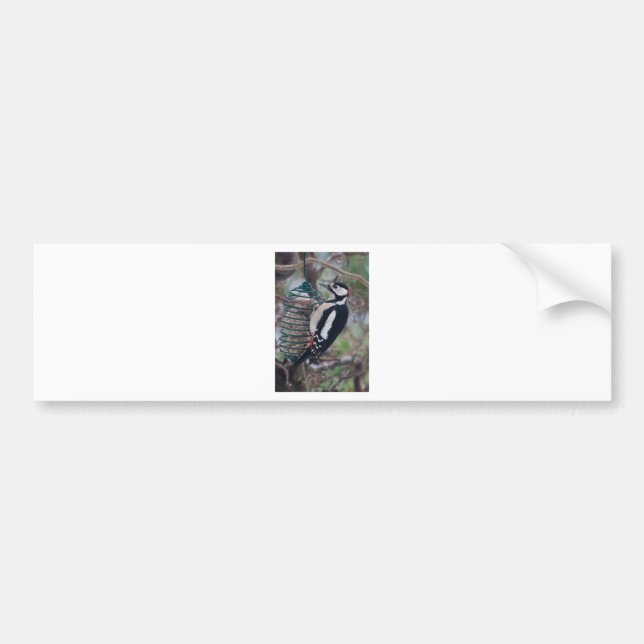 Woodpecker eating bumper sticker (Front)