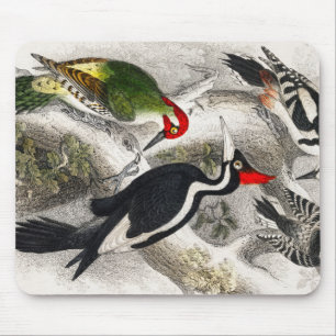 Woodpecker, Green Woodpecker, Woodpecker Bird Mouse Mat
