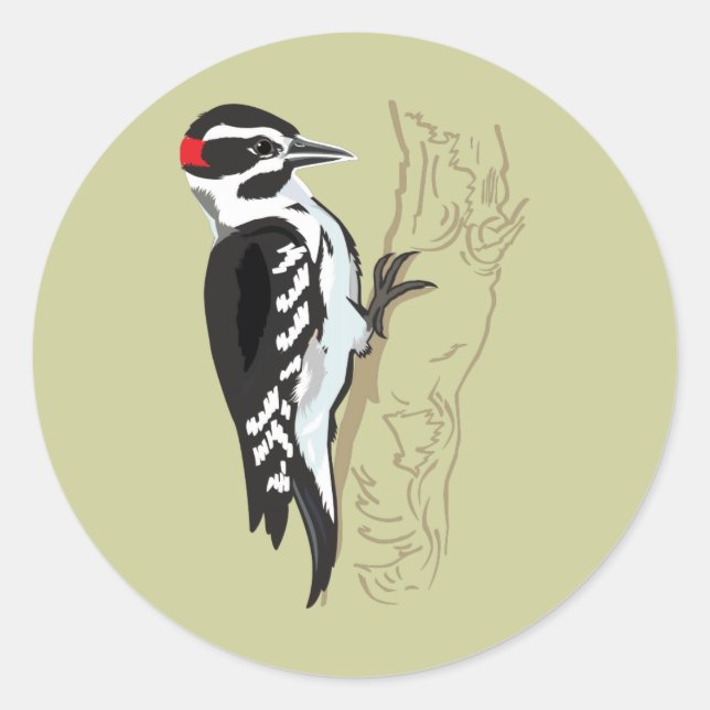 Woodpecker illustration classic round sticker (Front)