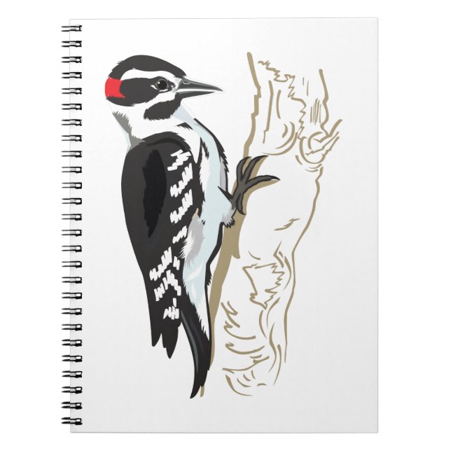 Woodpecker illustration notebook (Front)