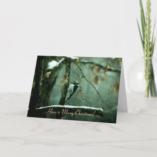 Woodpecker in Snow Christmas Card (Front)