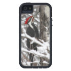 Woodpecker - iPhone 5 Case