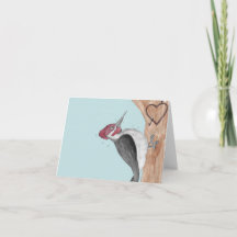 Woodpecker Love