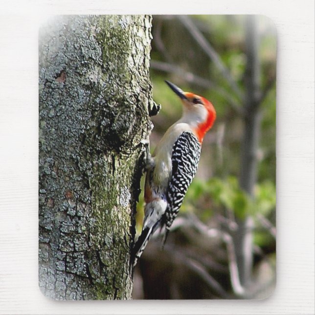Woodpecker Mouse Mat (Front)