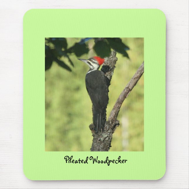 Woodpecker Mousepad (Front)