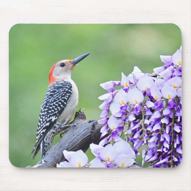 Woodpecker Mousepad (Front)