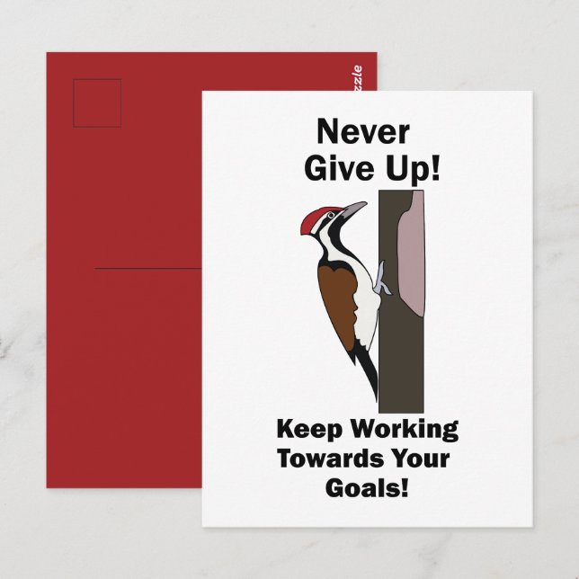 Woodpecker Never Give Up Inspirational Postcard (Front/Back)