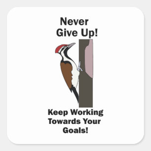 Woodpecker Never Give Up Inspirational Square Sticker