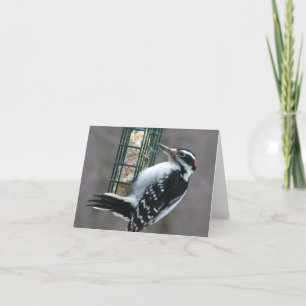 Woodpecker Note Card