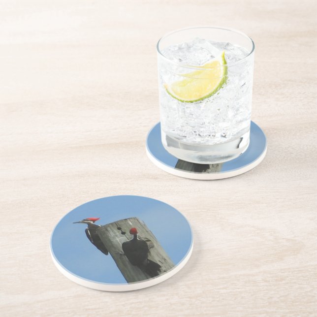 Woodpecker on a Pole Coaster (Side)